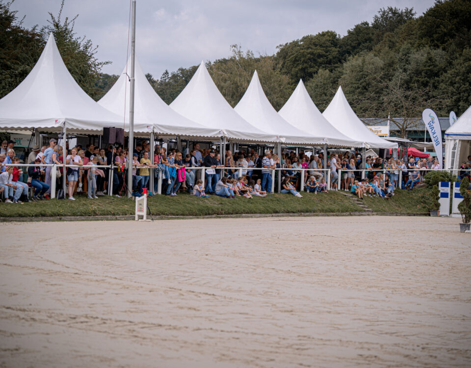 Reitanlage Hebborner Hof in Bergisch Gladbach – professionelle Aufnahme 2024