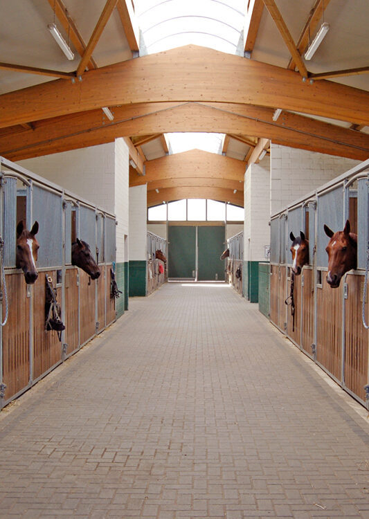 Pferde in den geräumigen Stallboxen des Hebborner Hofs