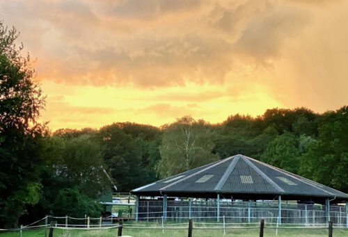 Impression vom Hebborner Hof – Reitanlage Bergisch Gladbach