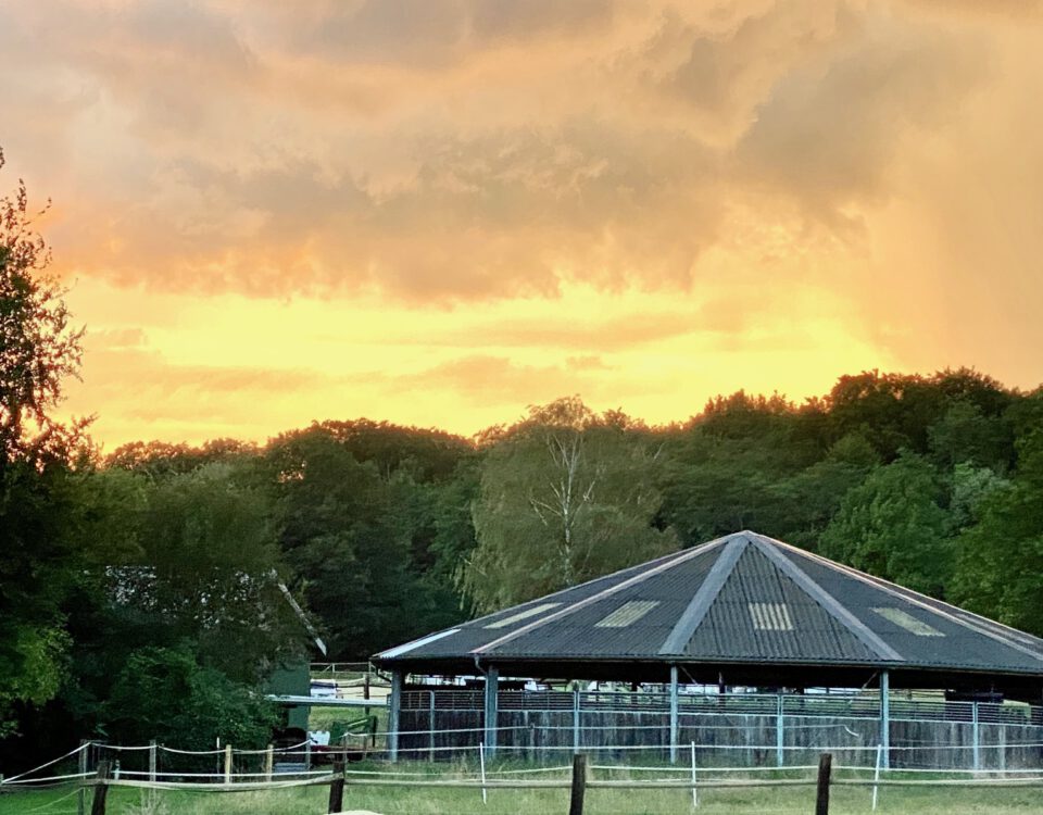 Impression vom Hebborner Hof – Reitanlage Bergisch Gladbach