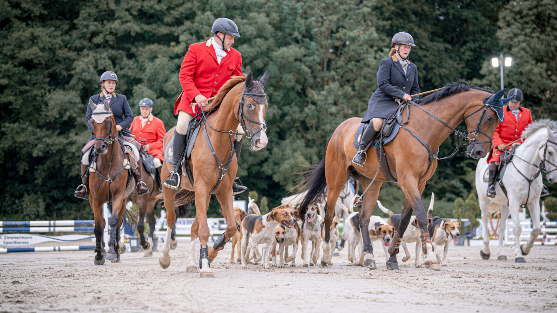 Reitanlage Hebborner Hof in Bergisch Gladbach – professionelle Aufnahme 2024