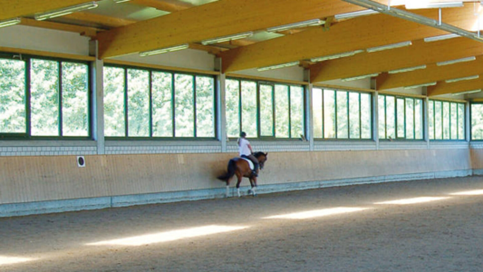 Reiter und Pferd in der Reithalle des Hebborner Hofs